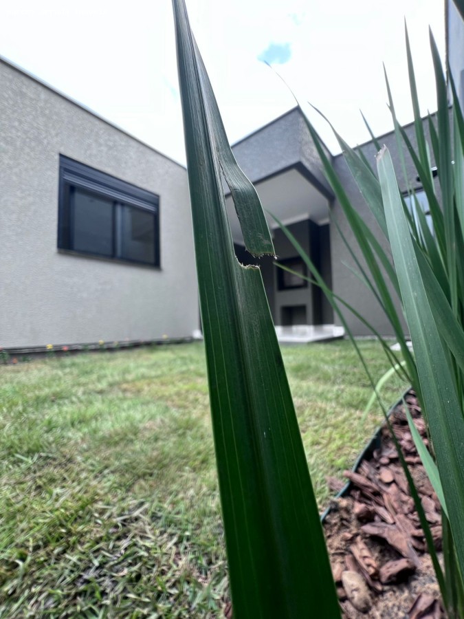 Casa de 2 quartos, no bairro Ingleses do Rio Vermelho, em Florianópolis | Eu Corretor